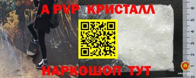 a pvp Гагарин